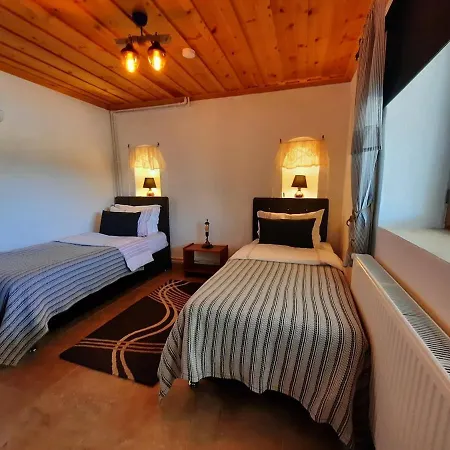 Villa Iksir *